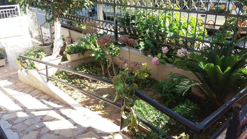 هتل Kamelya Apartments