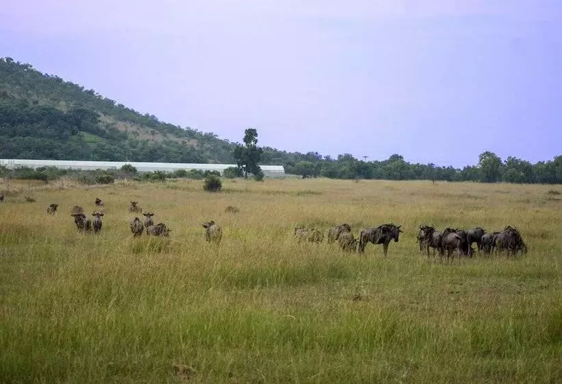Отель Kedar Heritage Lodge, Conference Centre & Spa