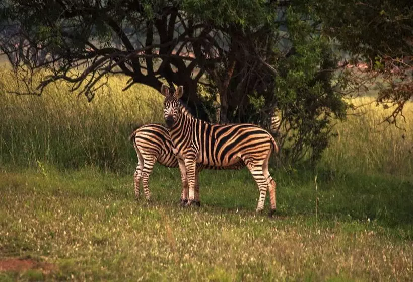 Отель Kedar Heritage Lodge, Conference Centre & Spa