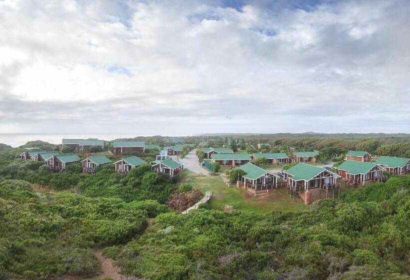 בית מלון כפרי Pine Lodge Resort