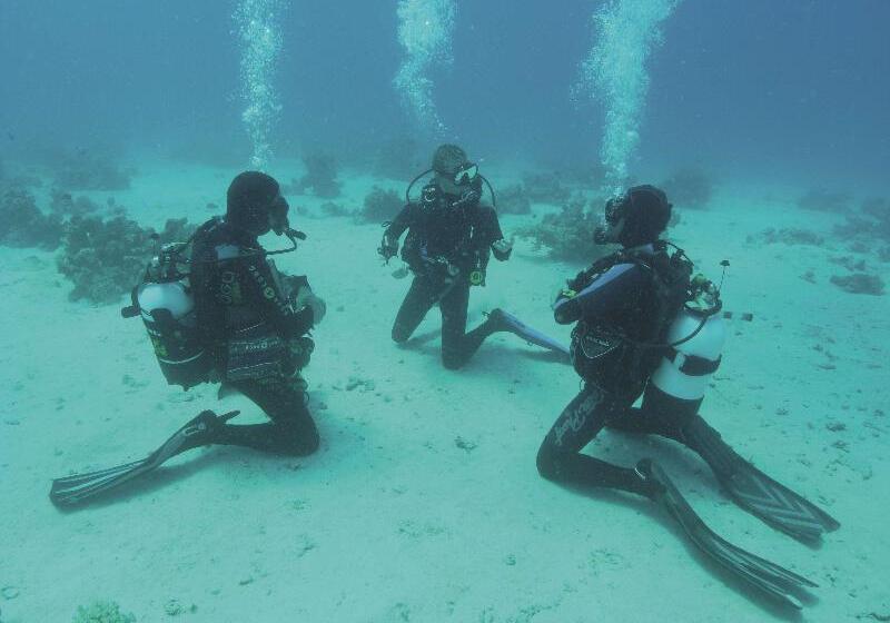 בית מלון כפרי Radisson Blu Resort El Quseir