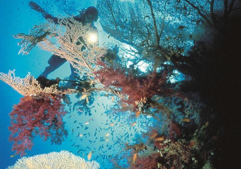 בית מלון כפרי Radisson Blu Resort El Quseir