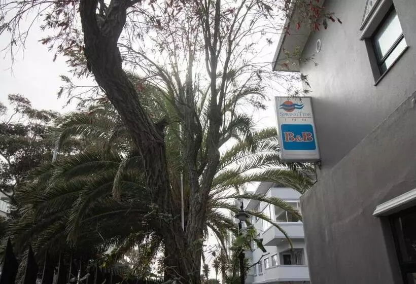 בית מלון כפרי Spring Tide Inn By Ctha