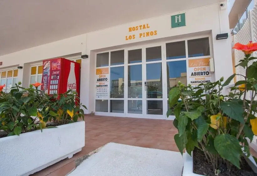 Hostal Los Pinos
