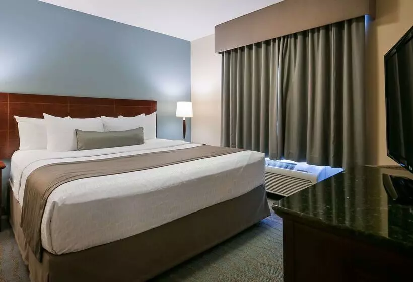 酒店 Best Western Rocky Mountain House