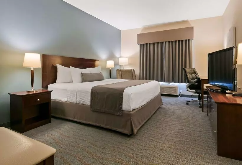 酒店 Best Western Rocky Mountain House