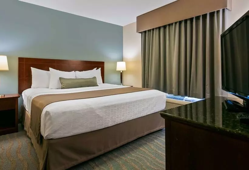 酒店 Best Western Rocky Mountain House