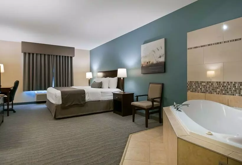 酒店 Best Western Rocky Mountain House