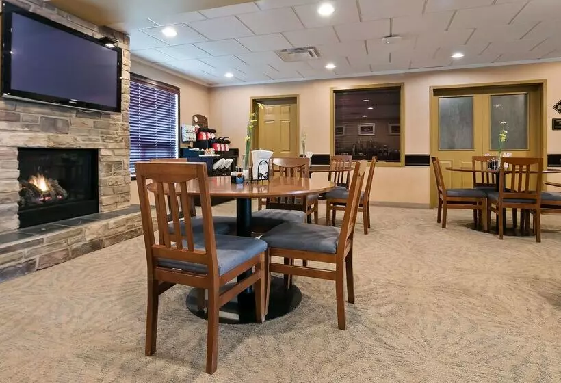 酒店 Best Western Rocky Mountain House