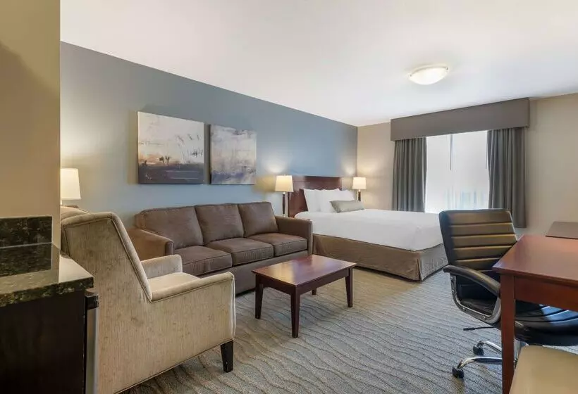 酒店 Best Western Rocky Mountain House