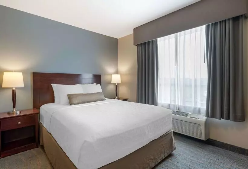 酒店 Best Western Rocky Mountain House