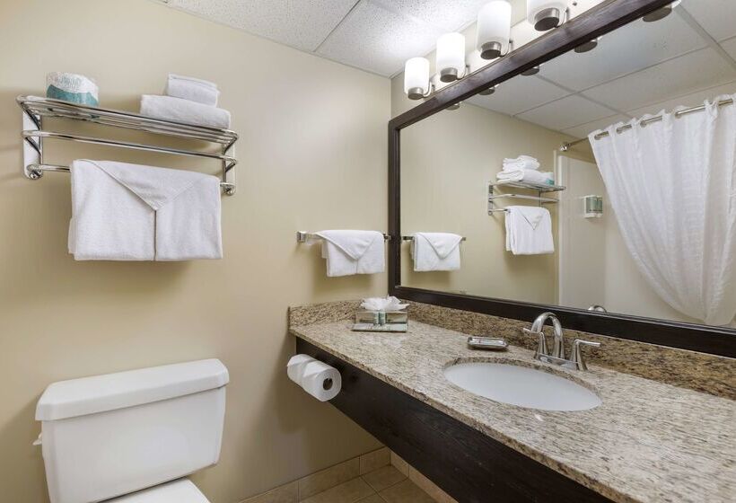 ホテル Best Western Rocky Mountain House