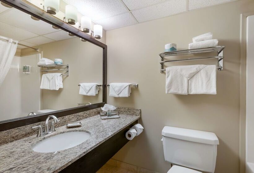 ホテル Best Western Rocky Mountain House