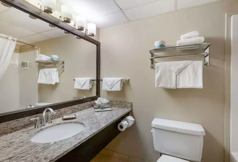 酒店 Best Western Rocky Mountain House