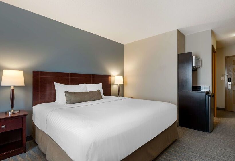 ホテル Best Western Rocky Mountain House