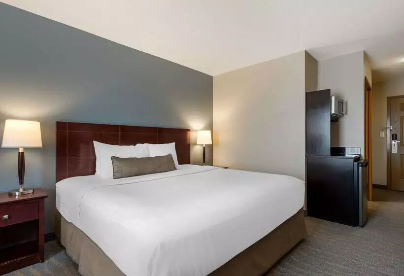 酒店 Best Western Rocky Mountain House