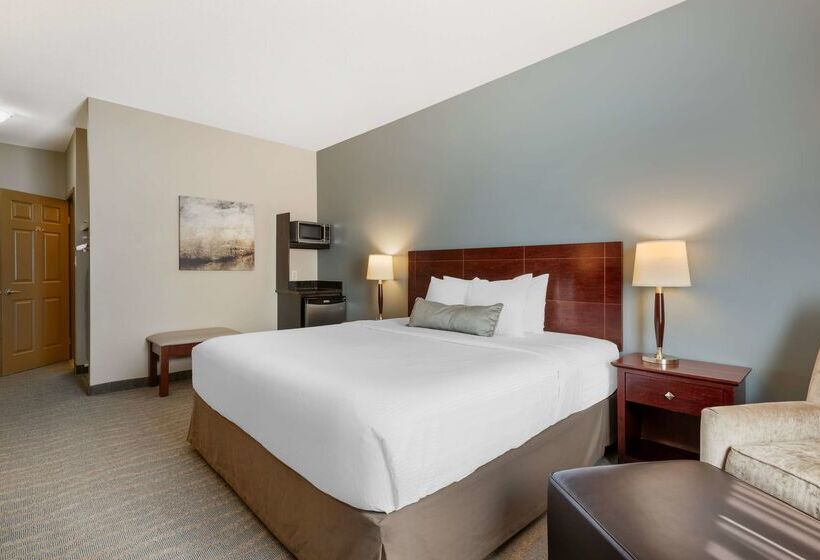 ホテル Best Western Rocky Mountain House