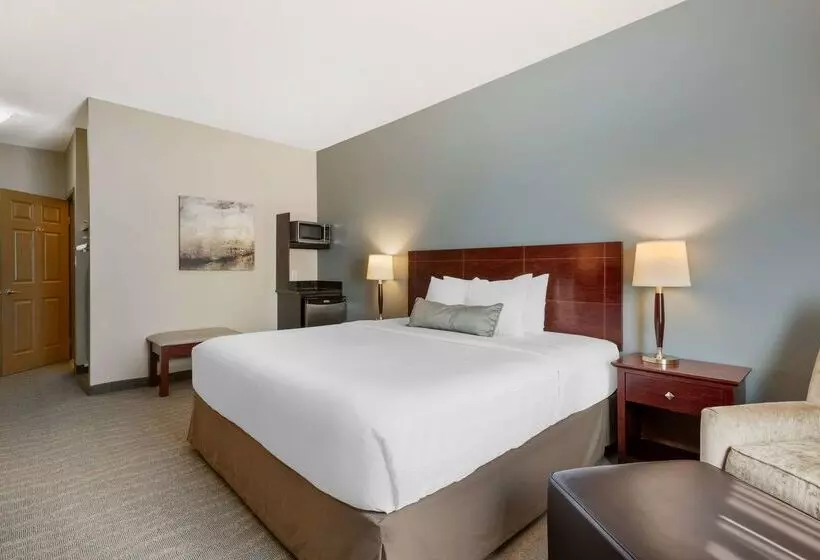 酒店 Best Western Rocky Mountain House