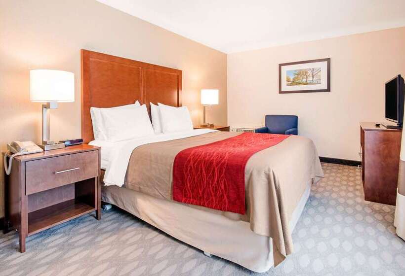هتل Comfort Inn Fallsview