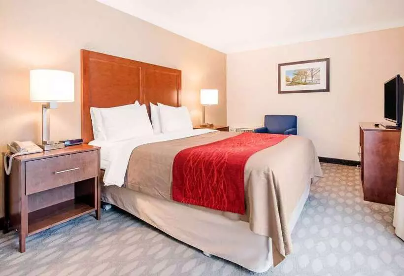 هتل Comfort Inn Fallsview