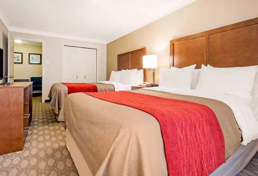 هتل Comfort Inn Fallsview