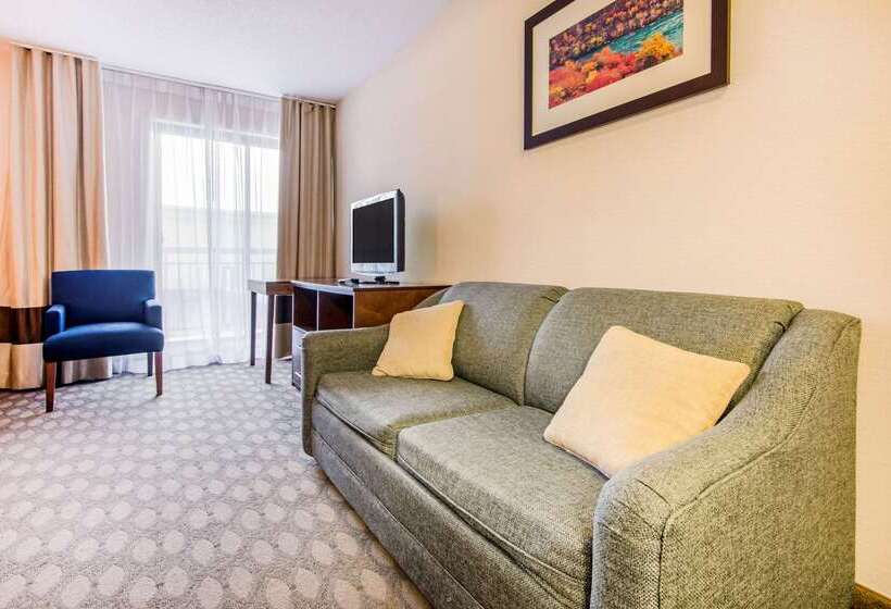 هتل Comfort Inn Fallsview