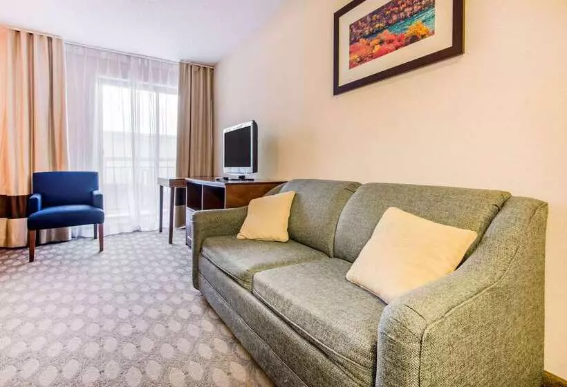 هتل Comfort Inn Fallsview