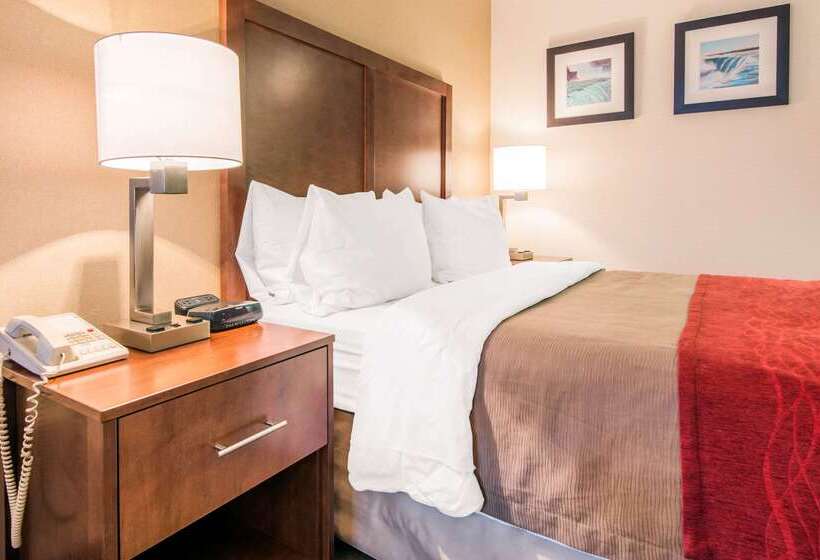 هتل Comfort Inn Fallsview