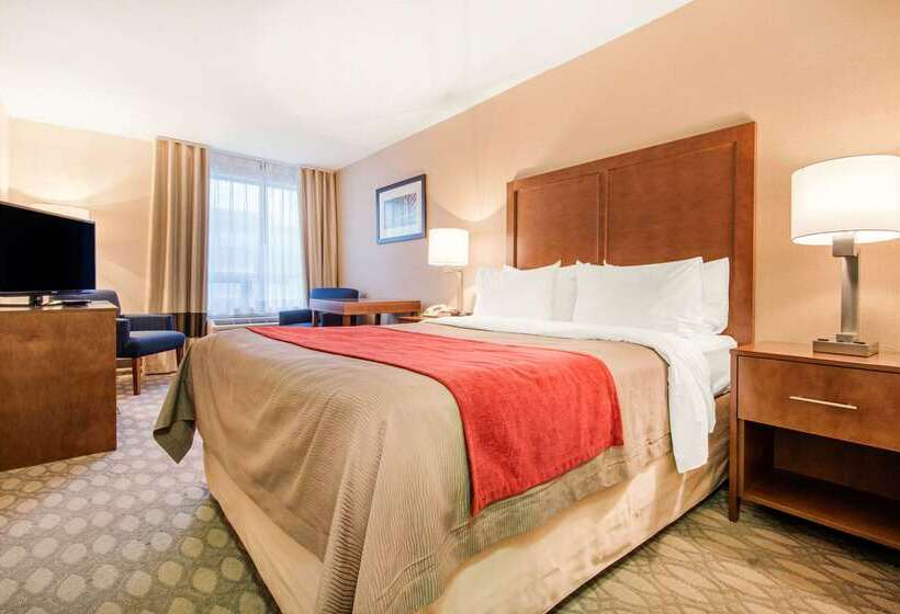هتل Comfort Inn Fallsview