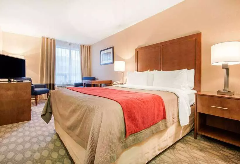 هتل Comfort Inn Fallsview