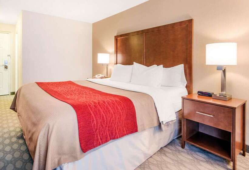 هتل Comfort Inn Fallsview