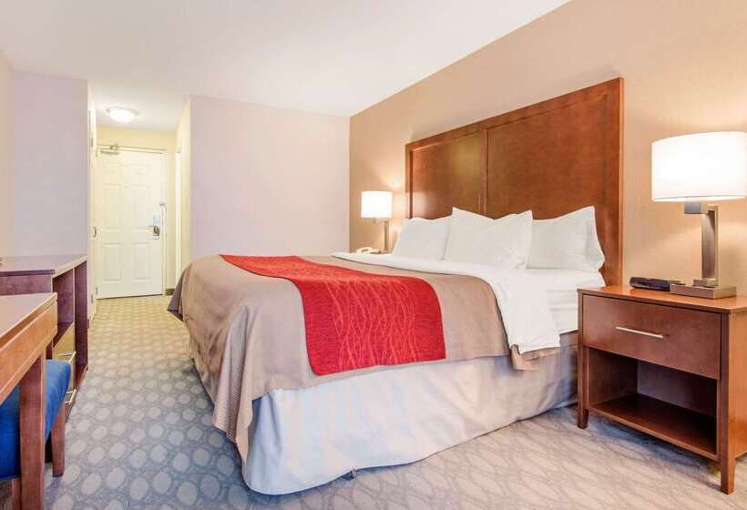 هتل Comfort Inn Fallsview