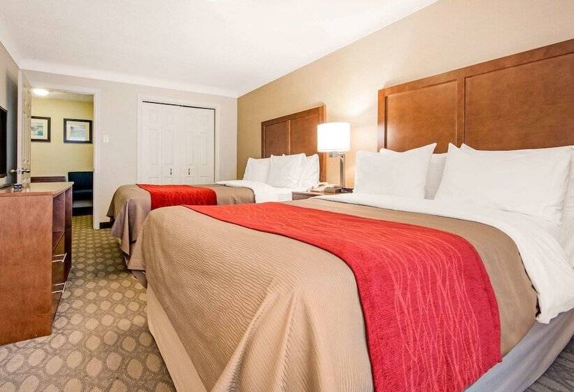 هتل Comfort Inn Fallsview