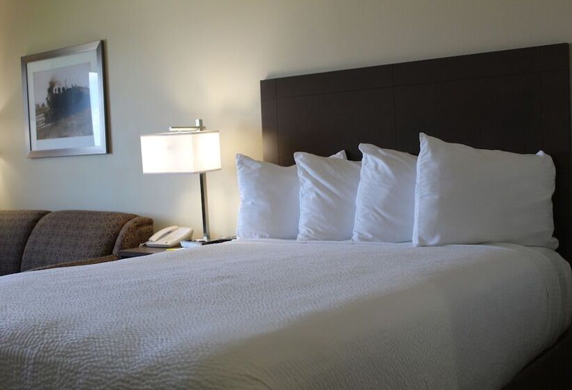 בית מלון כפרי Days Inn By Wyndham Steinbach