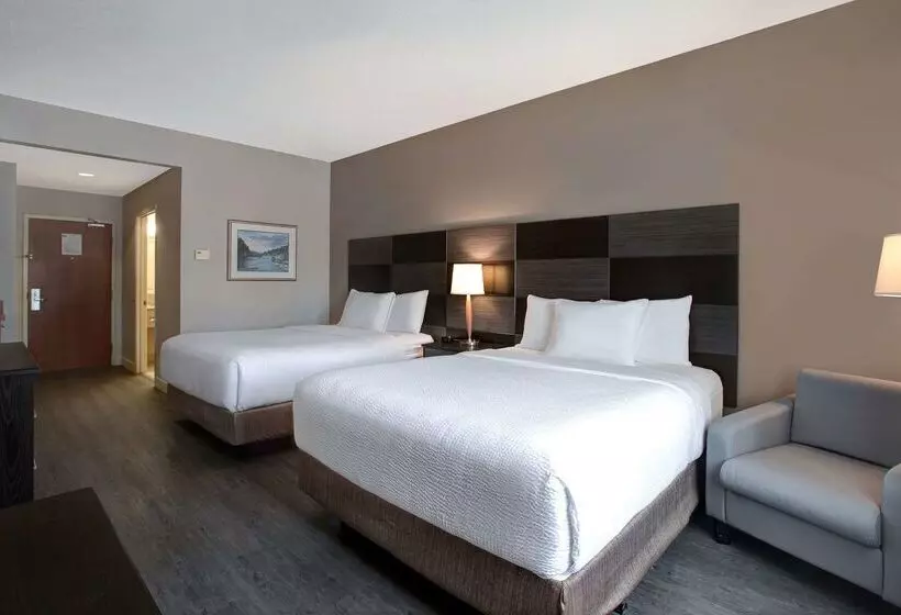 酒店 Days Inn & Suites By Wyndham Collingwood