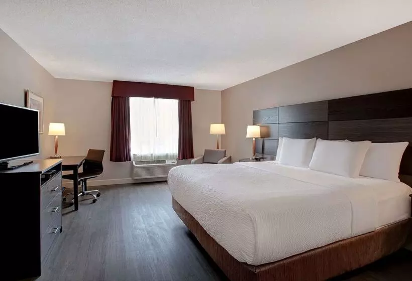 酒店 Days Inn & Suites By Wyndham Collingwood