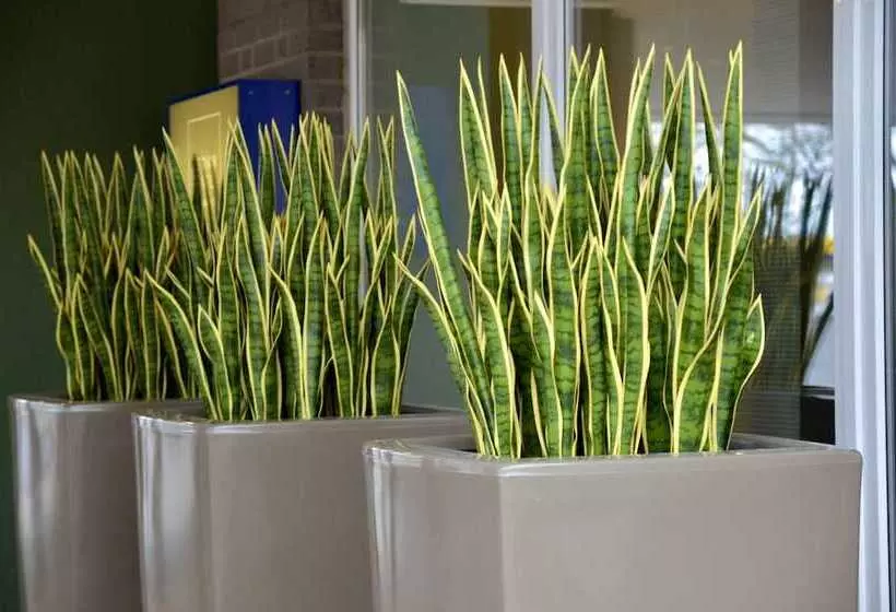 Median Hotel Hannover Messe