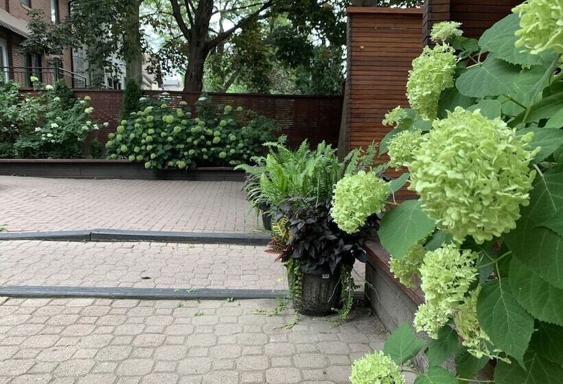 فندق Pembroke Inn