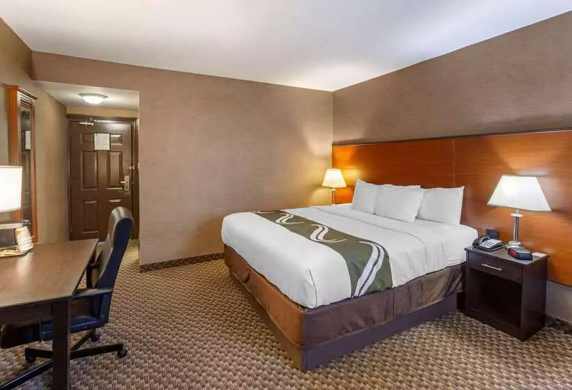 ホテル Quality Inn Toronto Airport