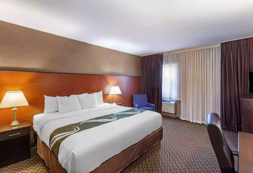 ホテル Quality Inn Toronto Airport