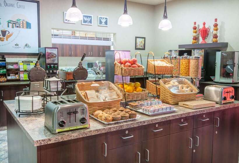 Ramada By Wyndham Drumheller Hotel & Suites