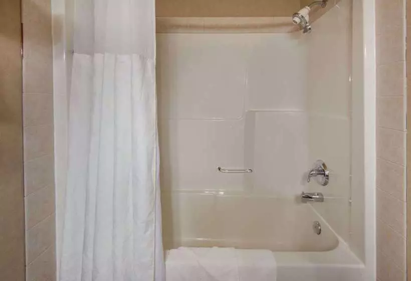 Ramada By Wyndham Drumheller Hotel & Suites