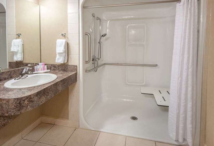 Ramada By Wyndham Drumheller Hotel & Suites