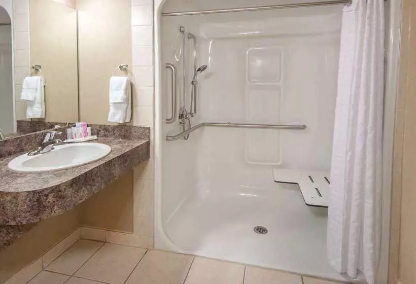 Ramada By Wyndham Drumheller Hotel & Suites