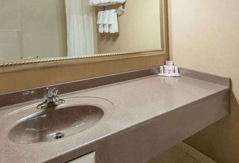 Ramada By Wyndham Drumheller Hotel & Suites