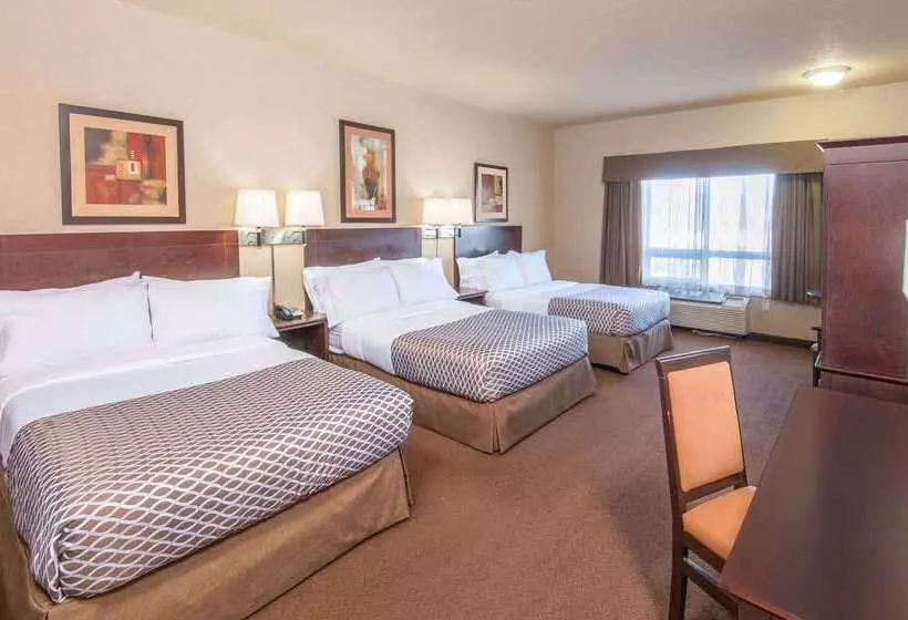 Ramada By Wyndham Drumheller Hotel & Suites