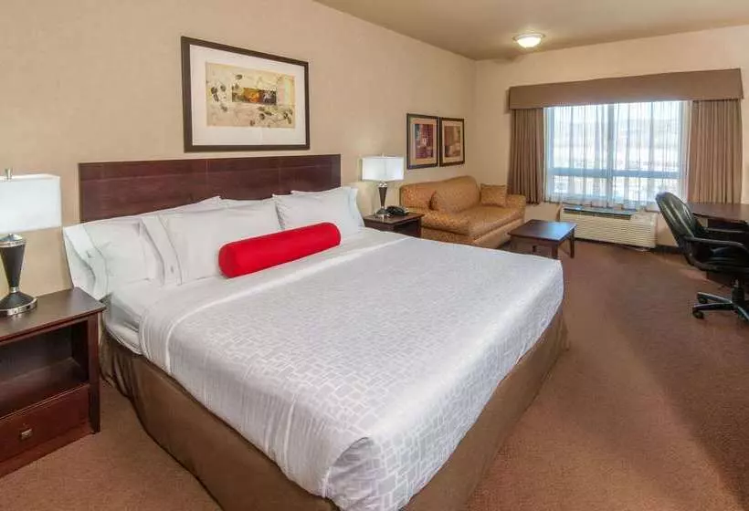 Ramada By Wyndham Drumheller Hotel & Suites