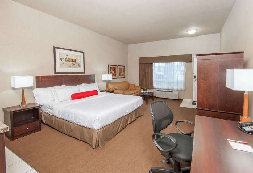Ramada By Wyndham Drumheller Hotel & Suites