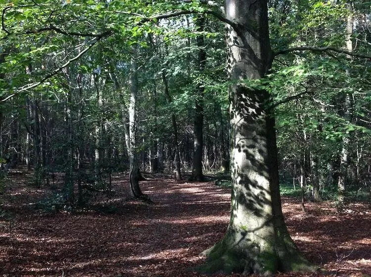 Van Der Valk Hotel De Bilt Utrecht