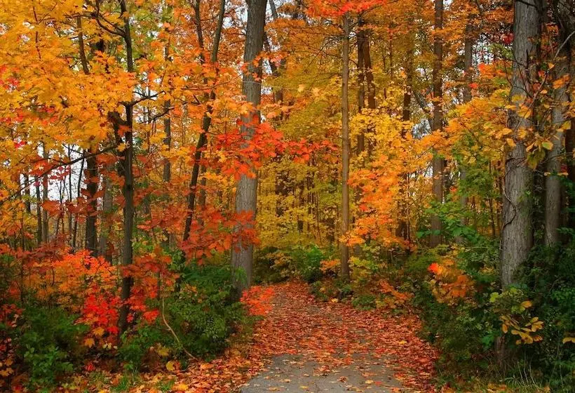 Van Der Valk Hotel De Bilt Utrecht